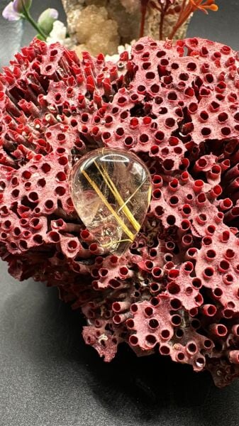 23.70ct 21.9x16.2 mm Golden Rutilated Quartz