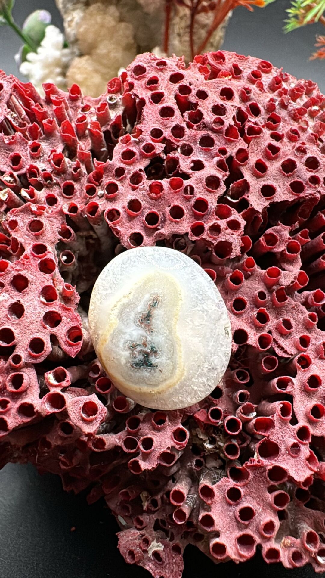 12.55ct 20.1x16.7 mm Natural Solar Quartz