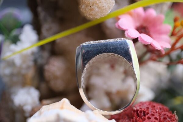 2.70ct Natural Blue Topaz ve 0.25ct Natural Spinel Taşlı Alaşımlı Kararmaz Gümüş Erkek Yüzük