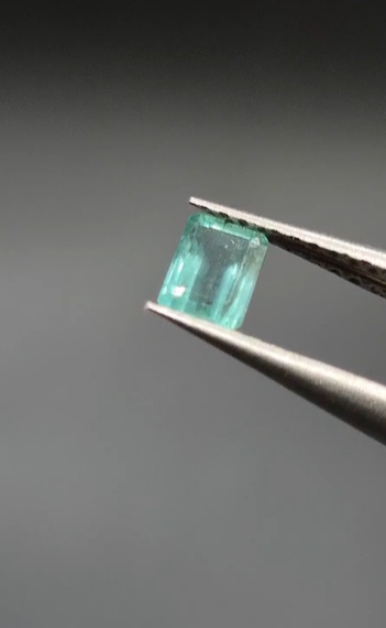 0.37ct 4.9x3.5mm Octagon Natural Emerald