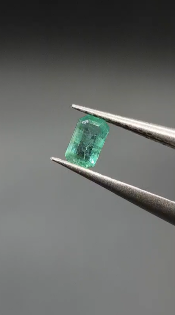 0.26ct 4.6x3mm Octagon Natural Emerald