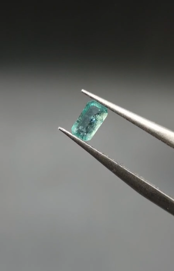 0.32ct 5x2.9mm Octagon Natural Emerald