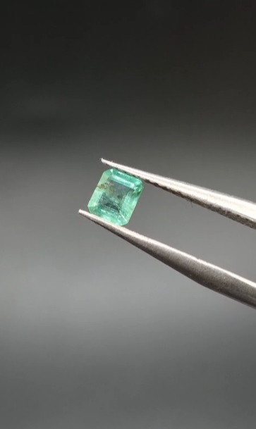 0.37ct 4.6x3.9mm Octagon Natural Emerald