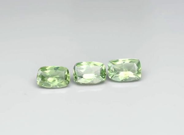 1.48ct t.w 3pcs Lot  Cushion Natural Unheated Green Apatite, Best For Setting