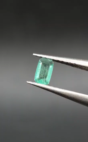 0.14ct 4.8x2.8mm Octagon Natural Emerald