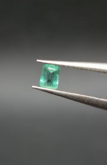 0.23ct 3.9x2.9mm Octagon Natural Emerald