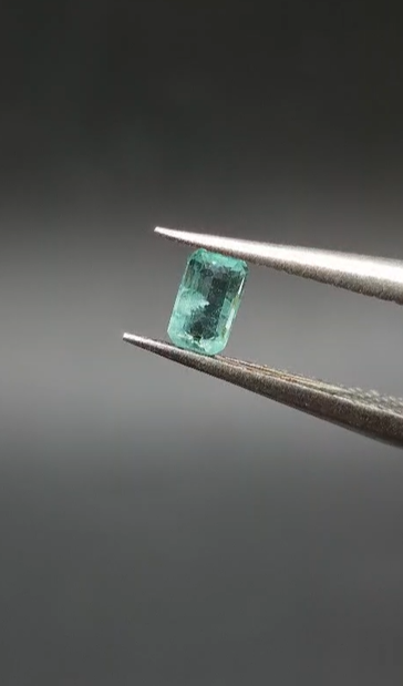 0.31ct 4.9x2.9mm Octagon Natural Emerald