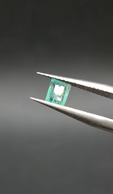 0.37ct 4.9x4.1mm Octagon Natural Emerald