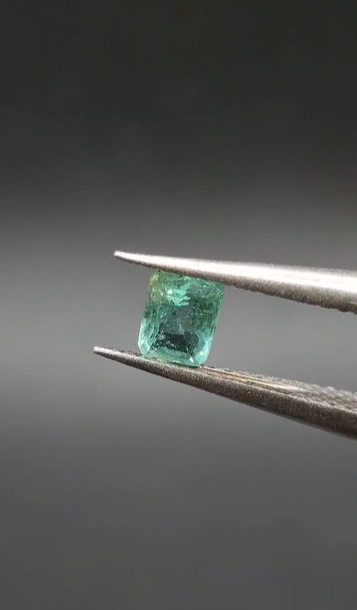 0.42ct 4.9x3.8mm Octagon Natural Emerald