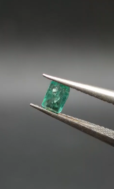 0.27ct 4.9x3.4mm Octagon Natural Emerald