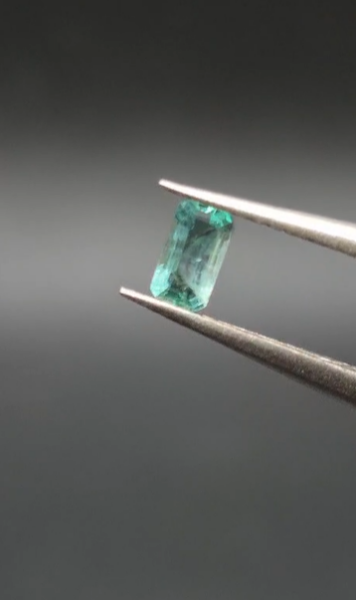 0.24ct 5x2.9mm Octagon Natural Emerald