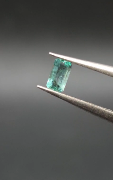 0.24ct 5x2.9mm Octagon Natural Emerald