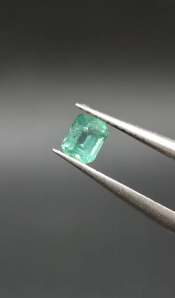 0.39ct 4.6x3.6mm Octagon Natural Emerald