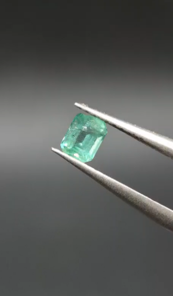 0.39ct 4.6x3.6mm Octagon Natural Emerald