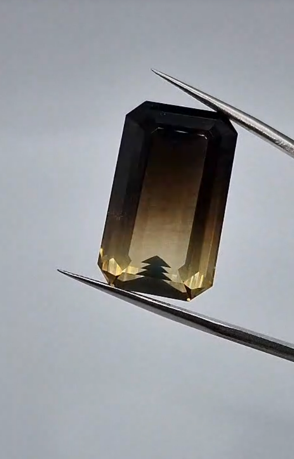 34.39ct 25.9x15.8mm Octagon Natural Bi-Color Smoky Quartz