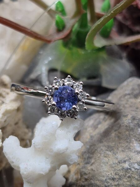 0.31ct Tanzanit - 0,20ct  E/F Pırlanta  -  2.42gr 14 Ayar Yüzük