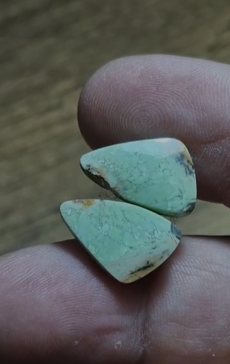 13.20ct 17.5x10.9mm Pair Septerian