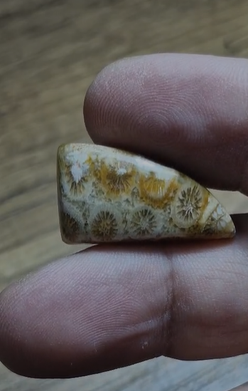 20.20ct 29.2x15.2mm Fancy Coral Fossil