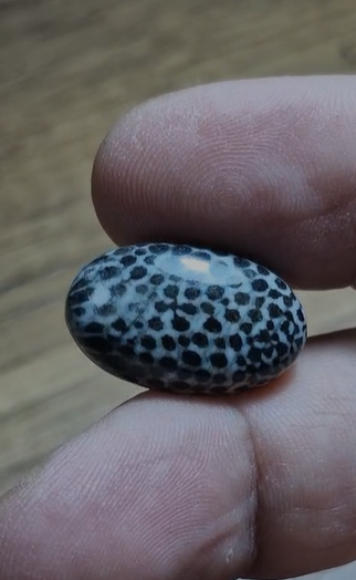 16.60ct 22.4x13.8mm Oval Snake Stone