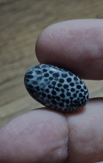 16.60ct 22.4x13.8mm Oval Snake Stone