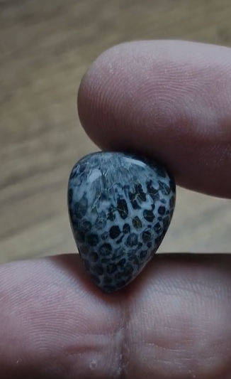 13.60ct 20.2x15mm Pear Snake Stone