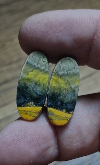 22.85ct 24.7x10.7mm Pair Bumble Bee