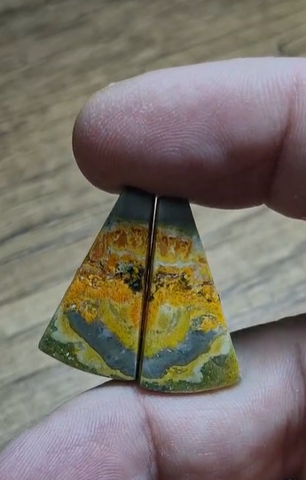 22.55ct 26x13.8mm Pair Bumble Bee