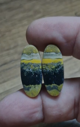 24.45ct 26.9x11mm Pair Bumble Bee