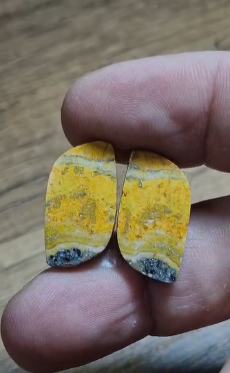 21.85ct 23.8x12.5mm Pair Bumble Bee