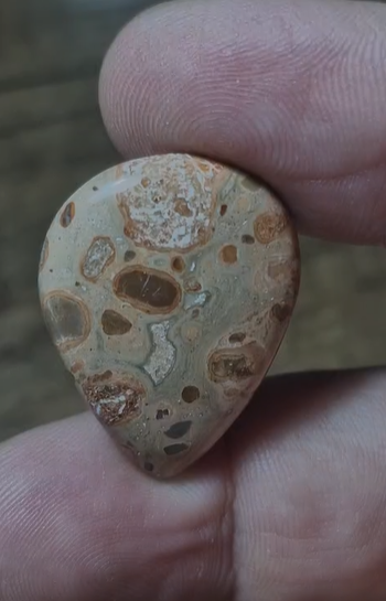 24.30ct 28.6x21.2mm Natural Pear Leopard Jasper