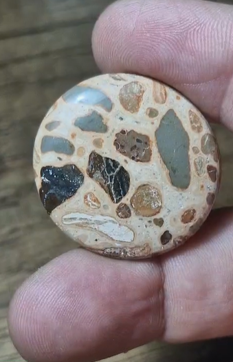 43.20ct 31.5x30.2mm Natural Round  Leopard Jasper