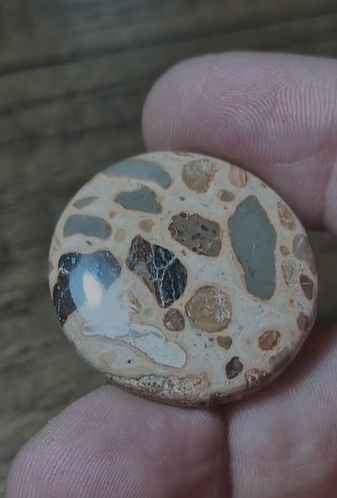 43.20ct 31.5x30.2mm Natural Round  Leopard Jasper