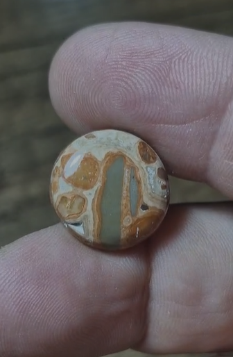 10.95ct 16mm Natural Round Leopard Jasper