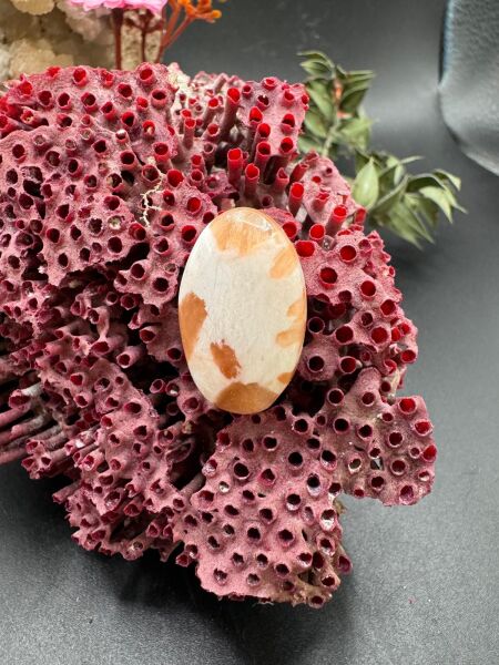 13.50 ct 24.6x15.2 mm Natural Scolosite