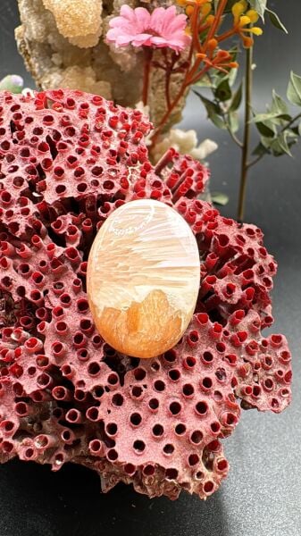 24.25 ct 26.4x18.5 mm Natural Scolosite