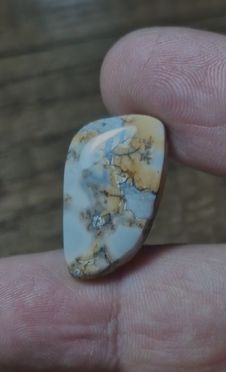 19.70ct 25.5x15.1mm Natural Fancy Maligano Jasper