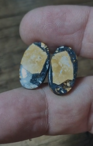 15.75ct 19.9x11.1mm Natural Oval Pair Maligano Jasper