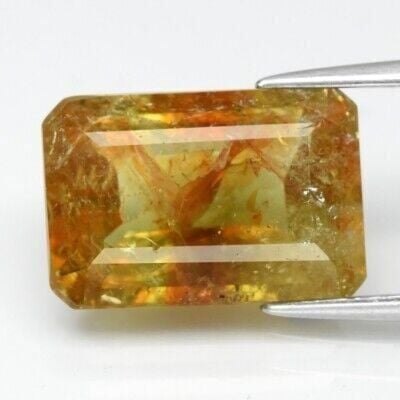 6.76ct 13.5x9.2mm Octagon Natural Green Tourmaline - Unheated Africa Gem