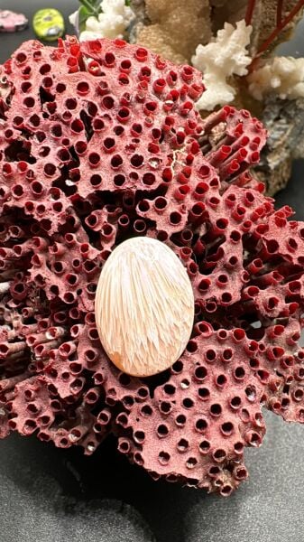 12.50 ct 22.1x15.8 mm Natural Scolosite