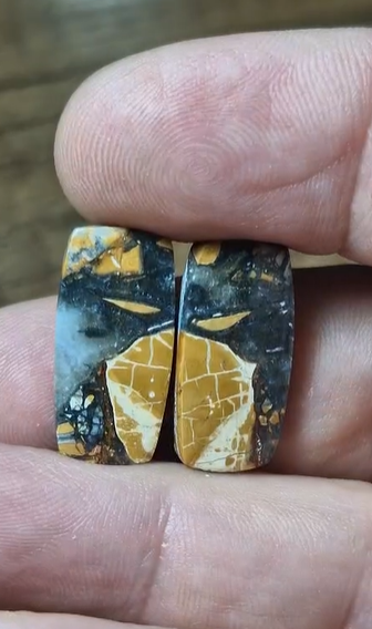 20.00ct 22x10.7mm Natural Octagon Pair Maligano Jasper