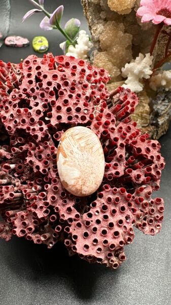 14.25 ct 24x16.3 mm Natural Scolosite