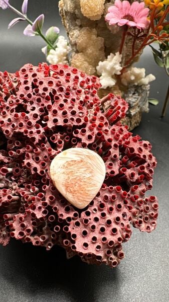 13.50 ct 21.4x19.9 mm Natural Scolosite