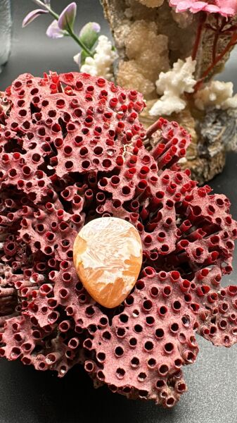 10.60 ct 19.3x15.1 mm Natural Scolosite