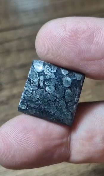 21.05ct 18.5mm Natural Square Markazite Hipomo Jasper