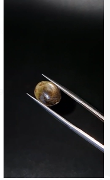 4.35ct 11x9mm Oval Natural 6 Ray Star Sapphire Unheated