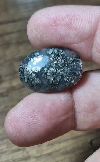 20.75ct 23.2x16mm Natural Oval Markazite Hipomo Jasper