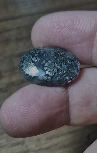 20.75ct 23.2x16mm Natural Oval Markazite Hipomo Jasper