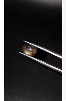 3.55ct 10x7.5mm Oval Natural 6 Ray Star Sapphire Unheated