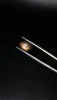 4.37ct 10.6x8mm Oval Natural 6 Ray Star Sapphire Unheated