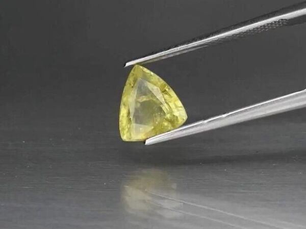 2.47ct 8.8x7.8mm Trillion Natural Yellowish Green Grossular Garnet, Africa